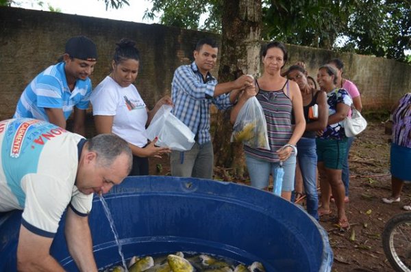 600 Kg De Peixes Foi Distribuído Para Famílias Na “Semana Santa”, Parceria Da Assistência Social E EMATER